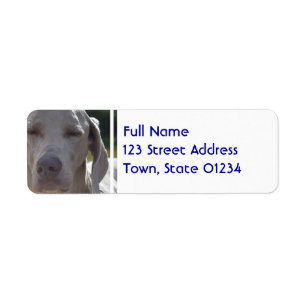 Sleepy Weimaraner Return Address Label