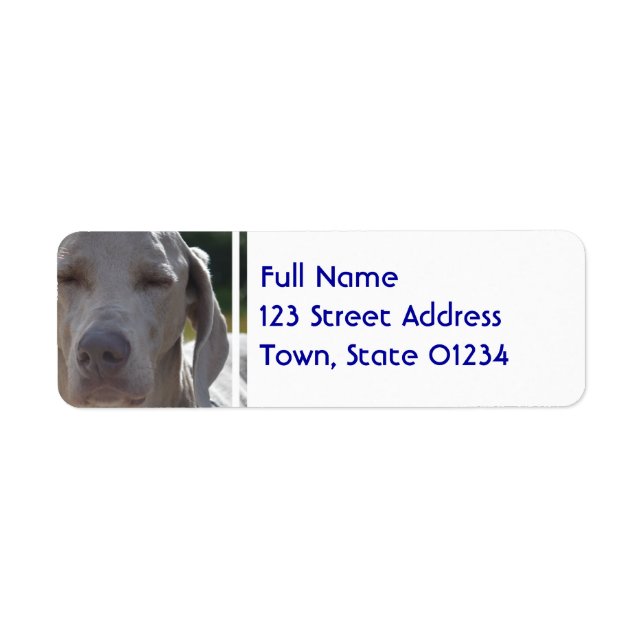 Sleepy Weimaraner Return Address Label (Front)