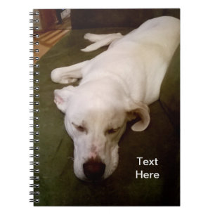 Sleepy White Puppy Dog Green Notebook