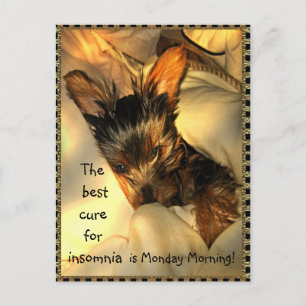 Sleepy Yorkie Customisable Postcard