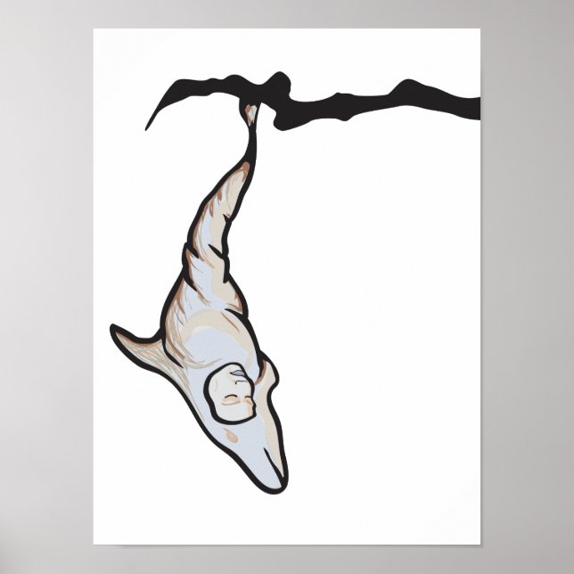 sleepyhead dolphin cocoon poster (Front)