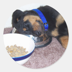 sleepyhead rottweiler classic round sticker