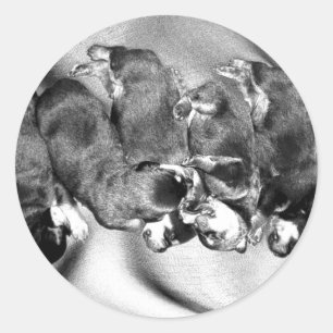 sleepyhead rottweiler puppies classic round sticker