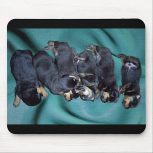 sleepyhead rottweiler puppies mouse pad