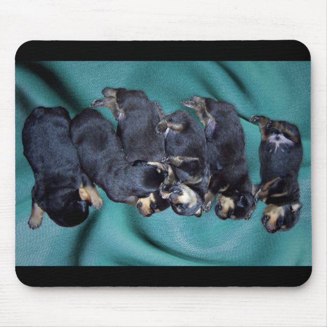 sleepyhead rottweiler puppies mouse pad (Front)