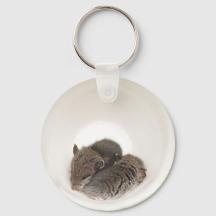 Sleepytime Cute Baby Mice Key Ring