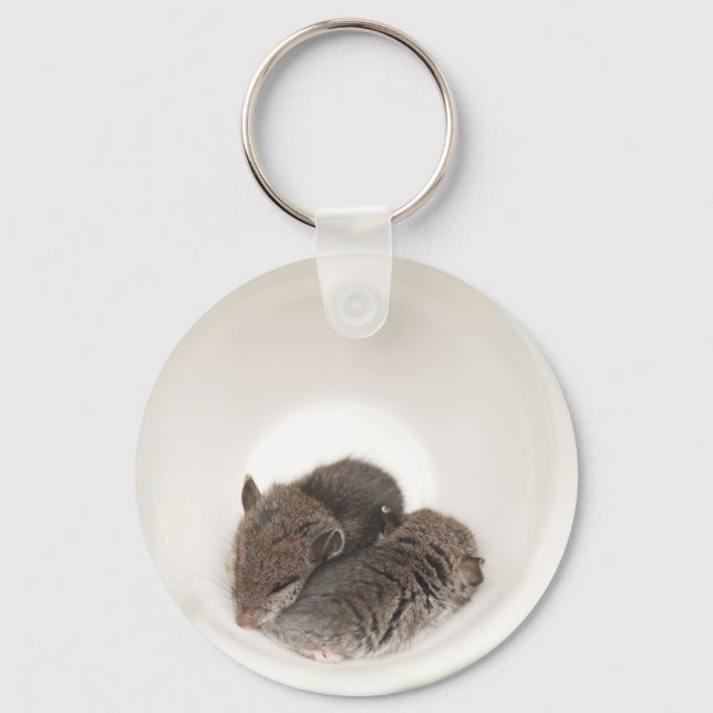 Sleepytime Cute Baby Mice Key Ring (Front)