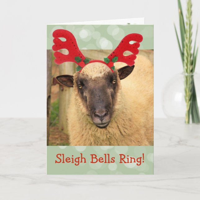 Sleigh Bells Sheep Holiday Card (Front)