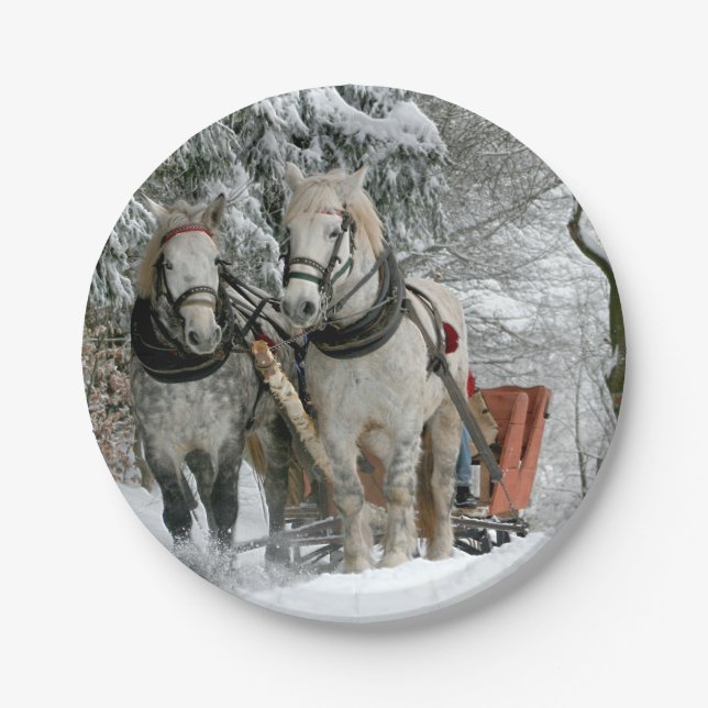Sleigh Ride in Winter Wonderland Paper Plate (Front)