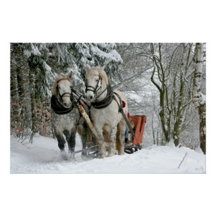 Sleigh Ride in Winter Wonderland Poster