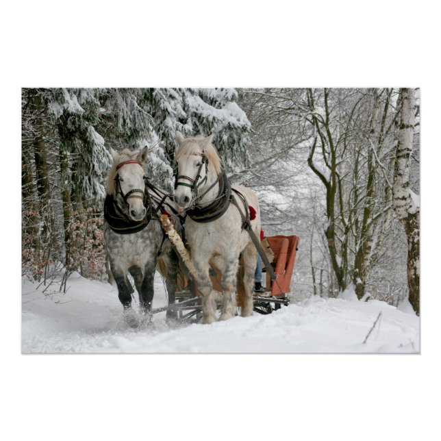 sleigh+ride,snow,forest,horse,winter,white,gallop, poster (Front)