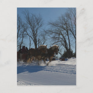 Sleigh ride Stowe Vermont Postcard