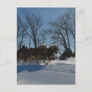 Sleigh ride Stowe Vermont Postcard