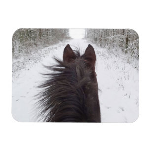 Sleigh View of Black Horse, Snowy Tree Lined Road Magnet