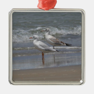 Slender-billed Gulls Ornamanet Metal Tree Decoration