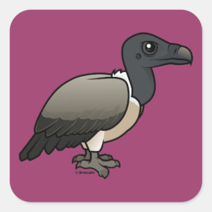 Slender-billed Vulture Square Sticker