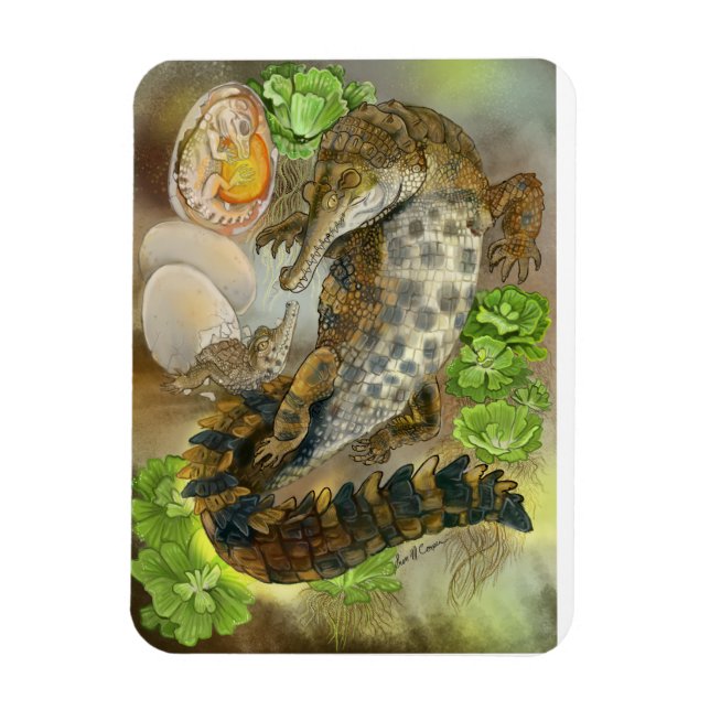 Slender Snouted Crocodile Magnet (Vertical)