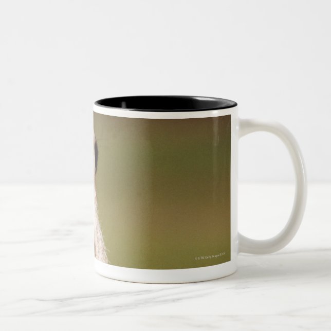 slender-tailed meerkat Two-Tone coffee mug (Right)