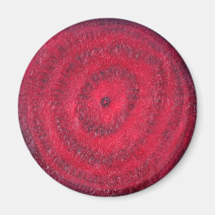 Slice of beetroot magnet