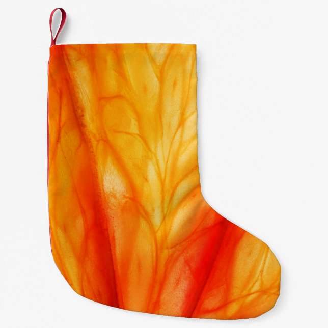 Slice of citrus fruit with backlit, abstract macro small christmas stocking (Front)