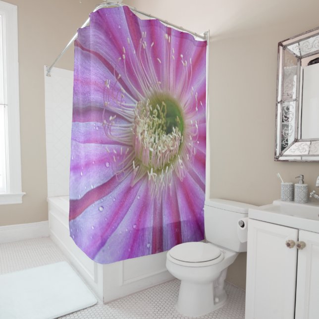Slice of flatty cake shower curtain (In Situ)