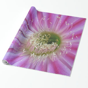 Slice of Flatty cake Wrapping Paper