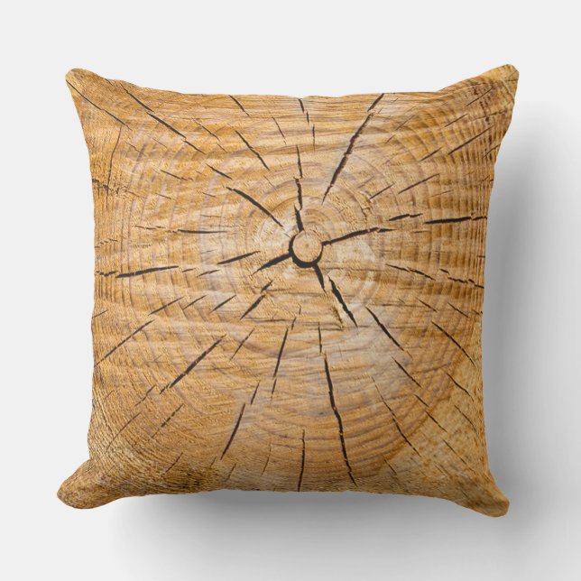 Slice of Life Cushion (Front)