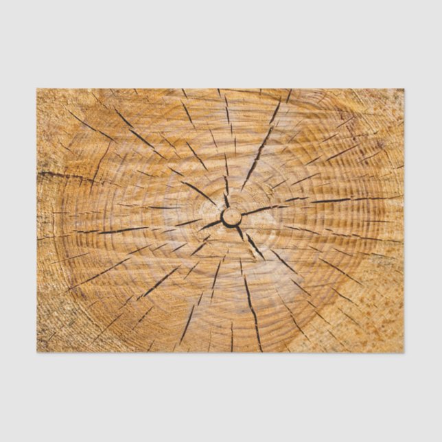 Slice of Life Tissue Paper (Front)