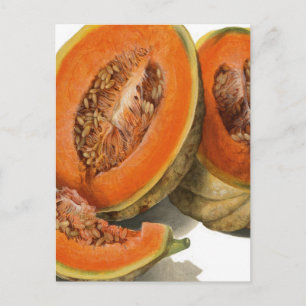 Sliced cantaloupe melon illustration postcard