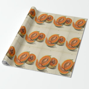Sliced cantaloupe melon illustration wrapping paper
