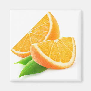 Slices of orange magnet