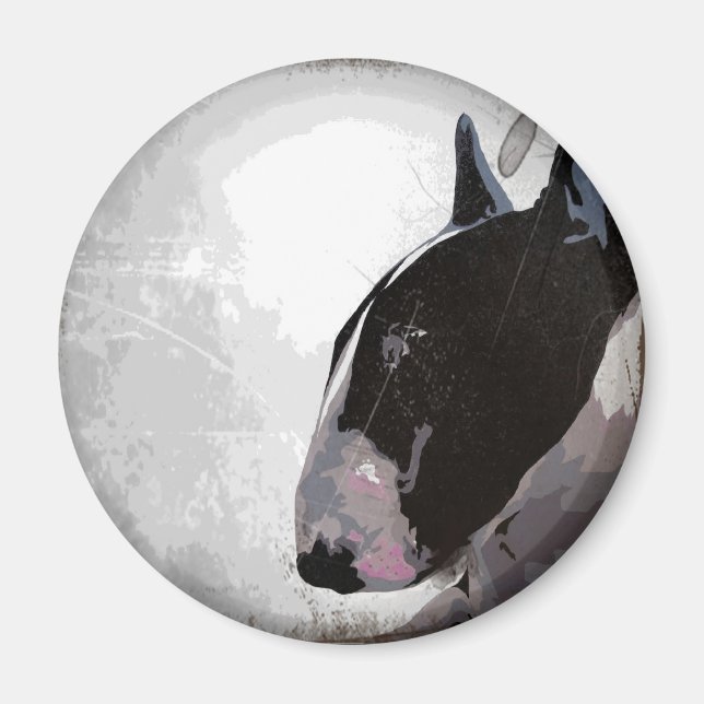 Slick urban English Bull Terrier  Fridge magnet (Front)