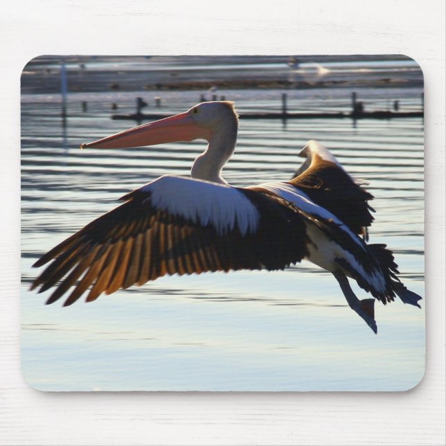 slide mouse pad (Front)