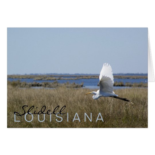 "Slidell, Louisiana" egret greeting card