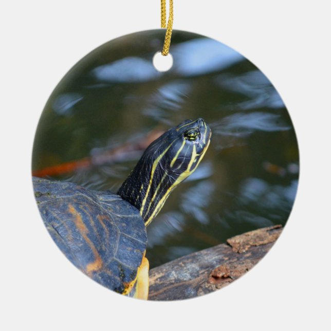 slider water turtle head out of shell ceramic tree decoration (Front)