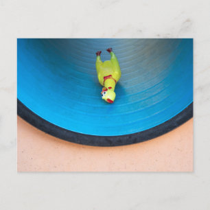 Sliding Rubber Chicken Postcard