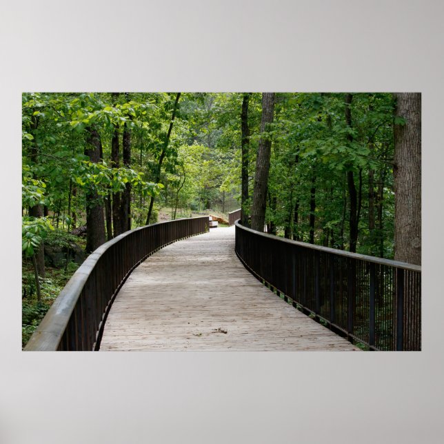 Slightly Curved Poster (Front)