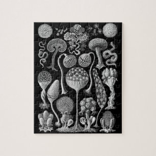 Slime Molds in Black and White Jigsaw Puzzle