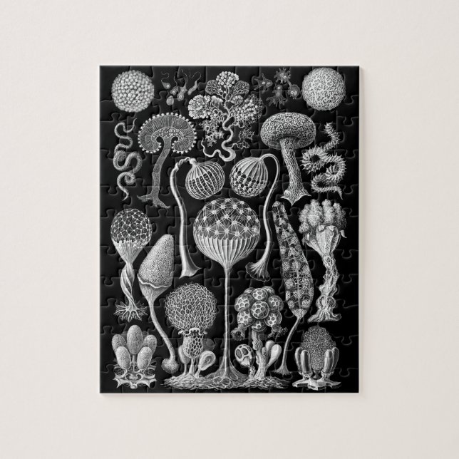 Slime Molds in Black and White Jigsaw Puzzle (Vertical)