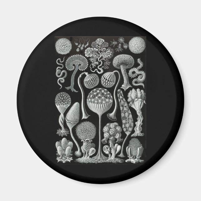 Slime Moulds Magnet (Front)