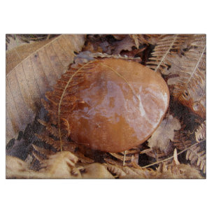 Slippery Jack Mushroom Glass Chopping Board