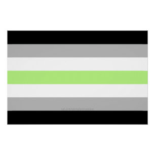 SlipperyJoe's Agender Pride Flag gay gifts LGBTQIA Poster