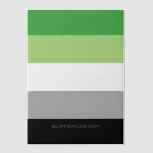SlipperyJoe's Aromantic Pride Flag gay gifts LGBTQ Vellum Invitations