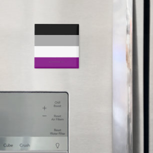 SlipperyJoe's asexual pride flag emphasizing inclu Magnet