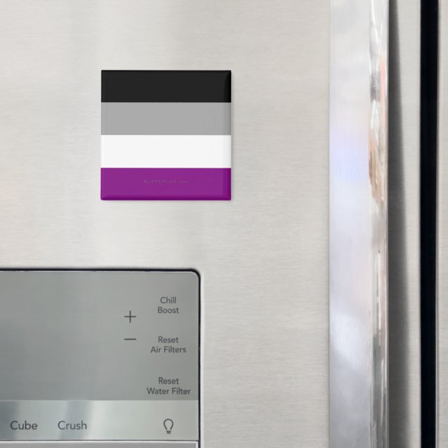 SlipperyJoe's asexual pride flag emphasizing inclu Magnet (In Situ (Fridge))