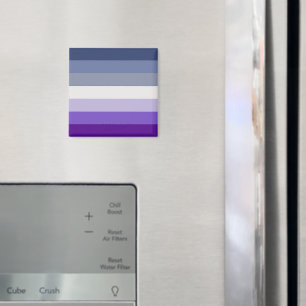 SlipperyJoe's Butch Lesbian Pride Flag represent b Magnet