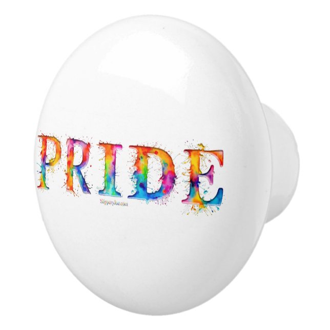 SlipperyJoe's colourful creative Pride-themed text Ceramic Knob (Right)