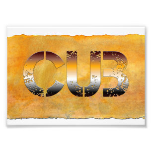 SlipperyJoe's cub bear culturally rooted LGBTQIA a Photo Print