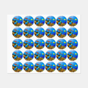 SlipperyJoe's Fish Pride tropical green blue purpl