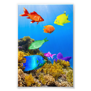 SlipperyJoe's Fish Pride tropical green blue purpl Photo Print